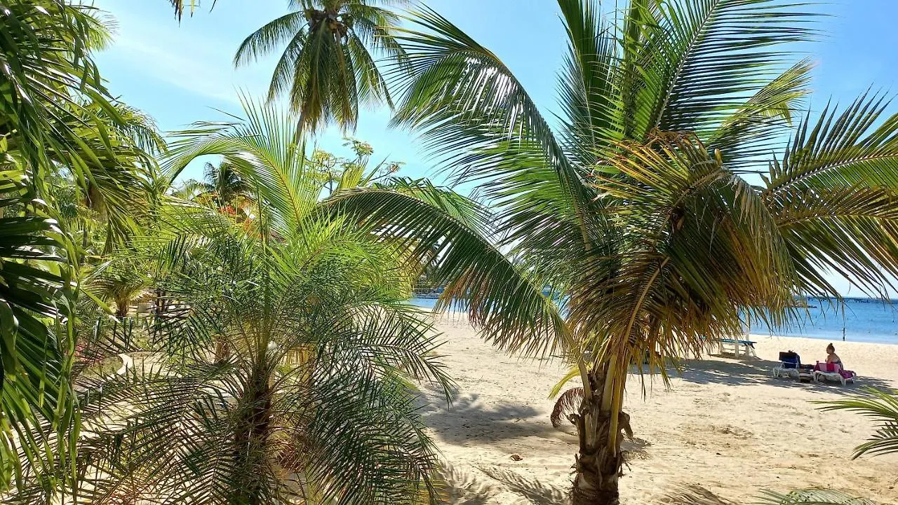 Beach Studio 20 Ocho Rios Jamaica