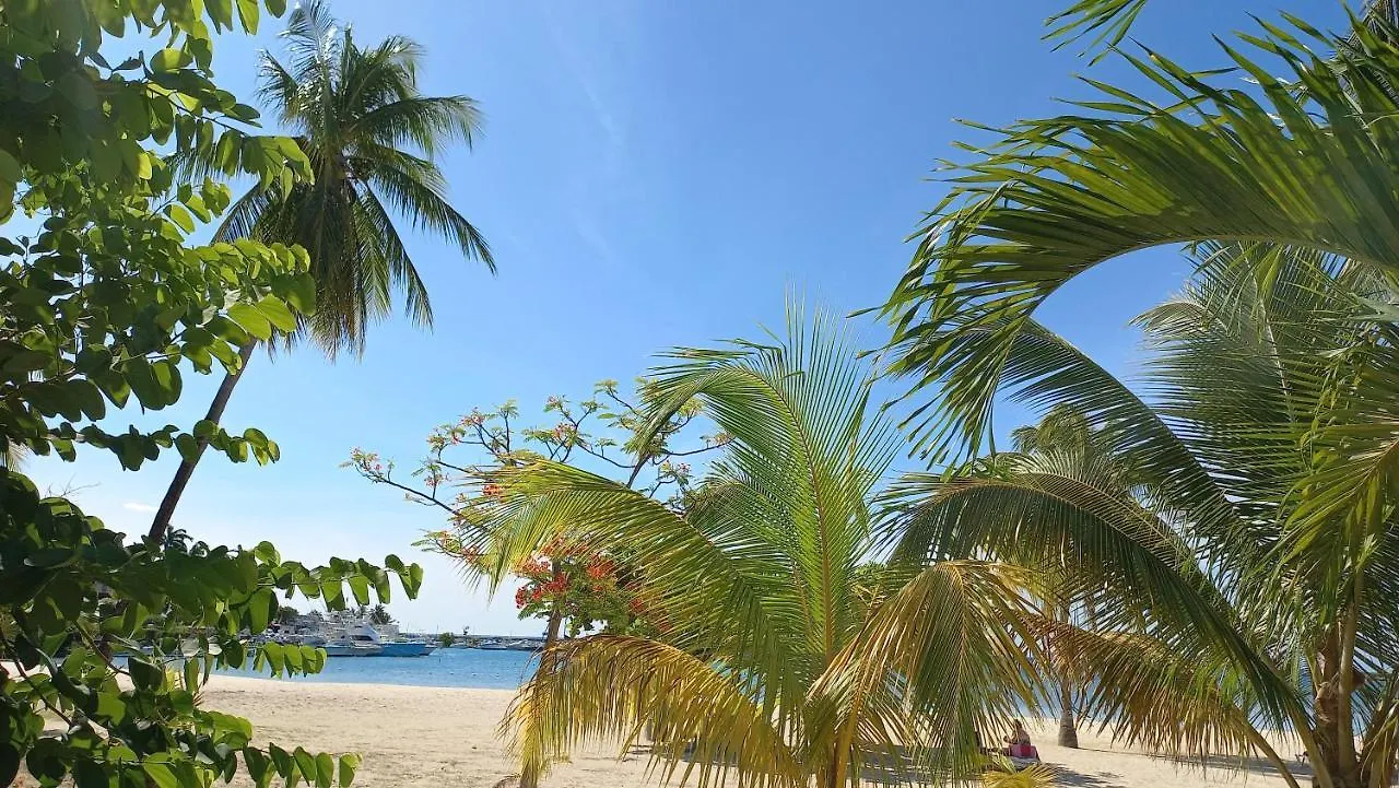 Beach Studio 20 Ocho Rios 0*,  Jamaica